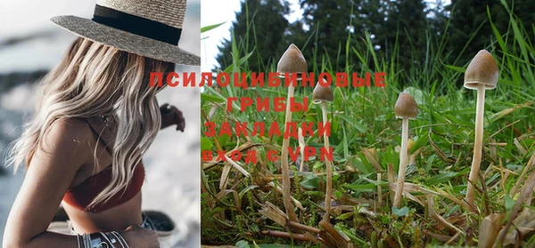стафф Волосово