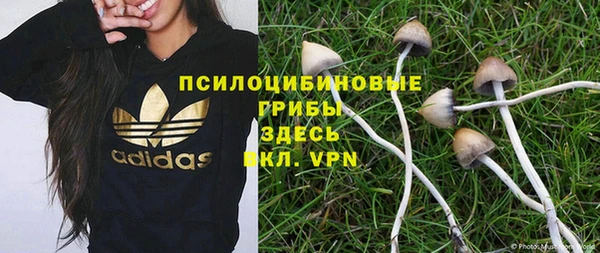 стафф Волосово