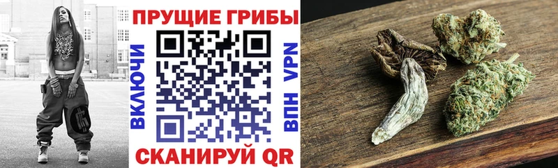 Псилоцибиновые грибы MAGIC MUSHROOMS  где продают   Верхний Уфалей 